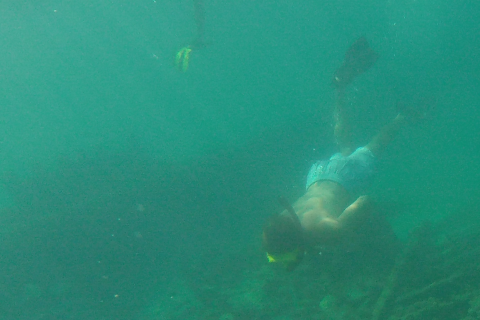 Student snorkeling a shipwreck